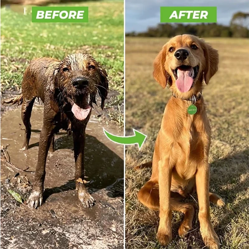 Adjustable Pet Bathing Sprayer